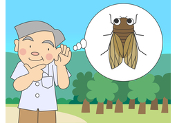 sound likeのイラスト